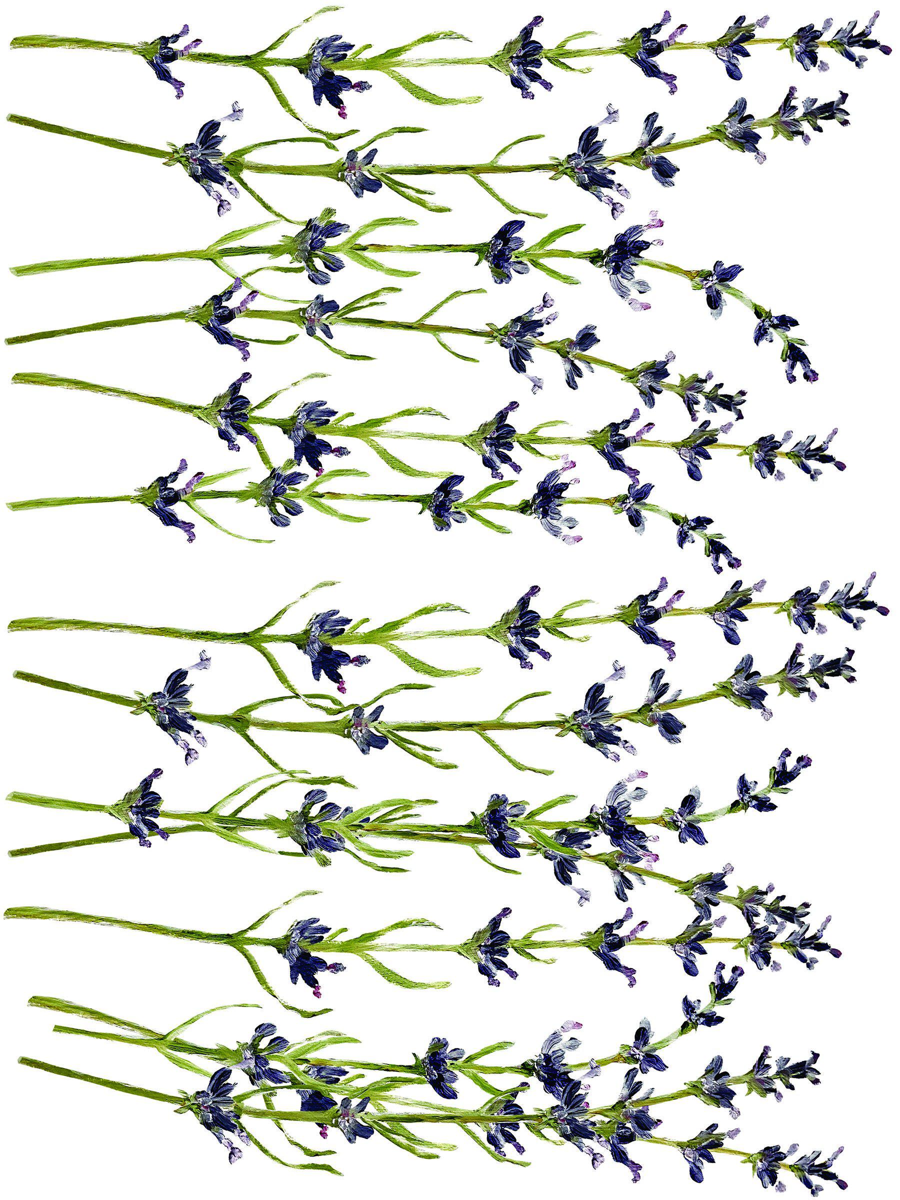 Painterly Florals Decor Transfer Set by IOD - Iron Orchid Designs @ Painted Heirloom