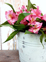 Pink blooms and green leaves in a bucket painted Pantry Door by Old Fashioned Milk Paint.