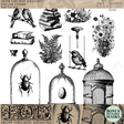Pastiche Stamp by IOD featuring black and white vintage books, plants, and birds.