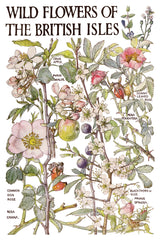 Primrose Isle Transfer by I.O.D., a botanical wildflower design inspired by British Isles flora.