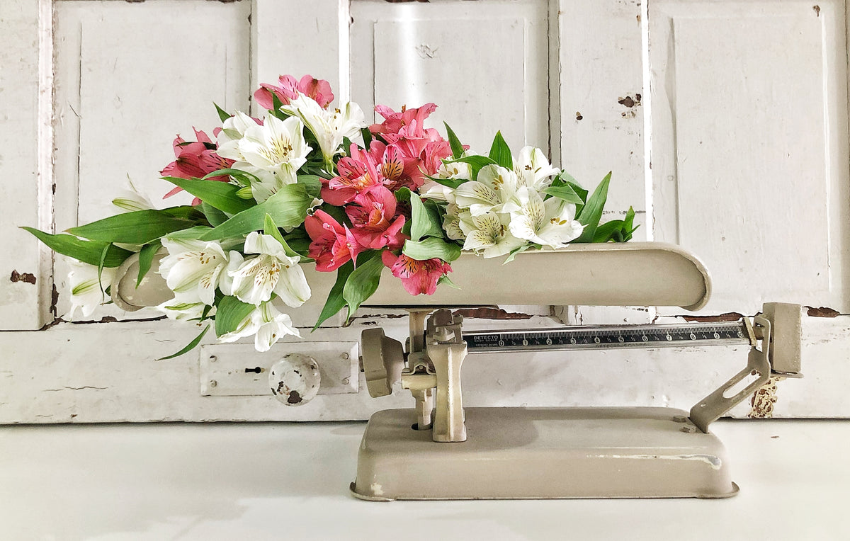 Beige vintage scale displaying flowers, set against a Proper by Old Fashioned Milk Paint white backdrop.