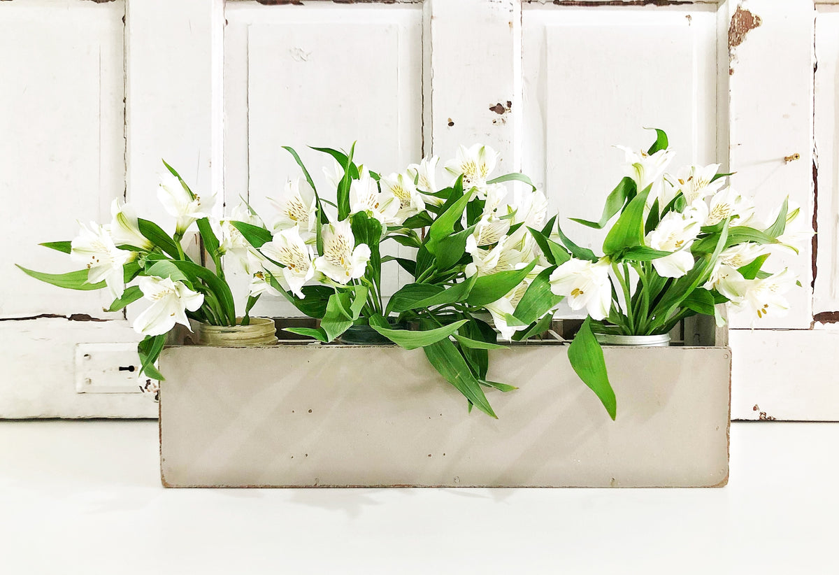 White blooms in jars arranged in a beige box; rustic wall painted with Proper by Old Fashioned Milk Paint behind.