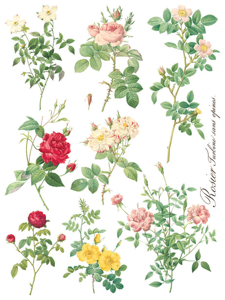 Rose Botanical Transfer by IOD - Iron Orchid Designs @ The Painted Heirloom