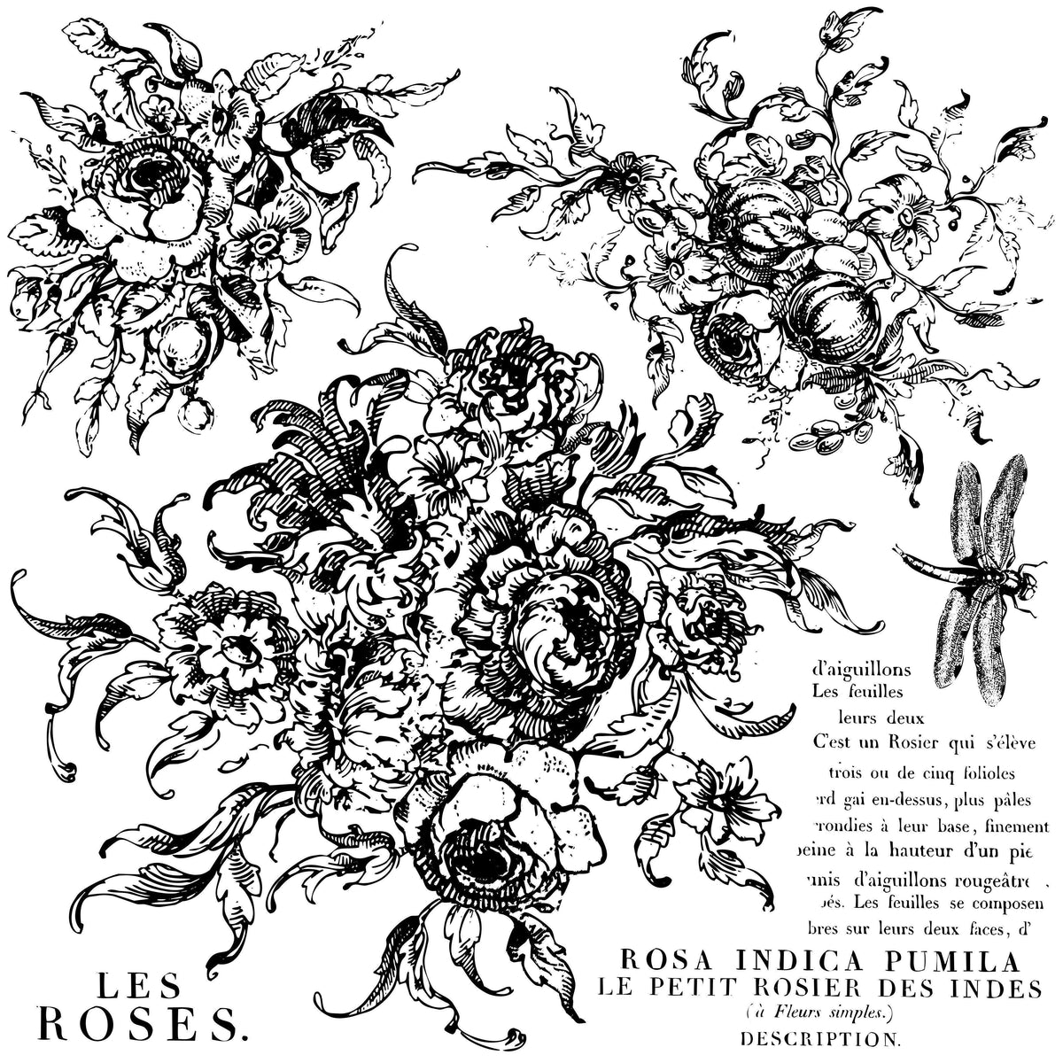 Black and white rose bouquet art from Rose Toile Stamp by IOD, I.O.D.