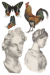 Butterflies, rooster, and assorted motifs in vintage style from Saint Ouen Transfer by I.O.D. Iron Orchid Designs.