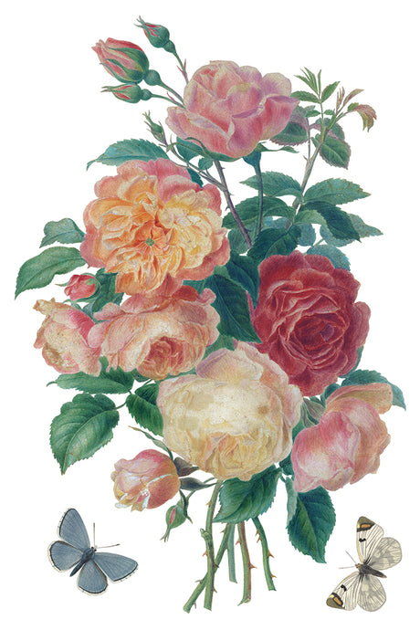 I.O.D. Saint Ouen Transfer featuring a bouquet of roses and butterflies on white background.
