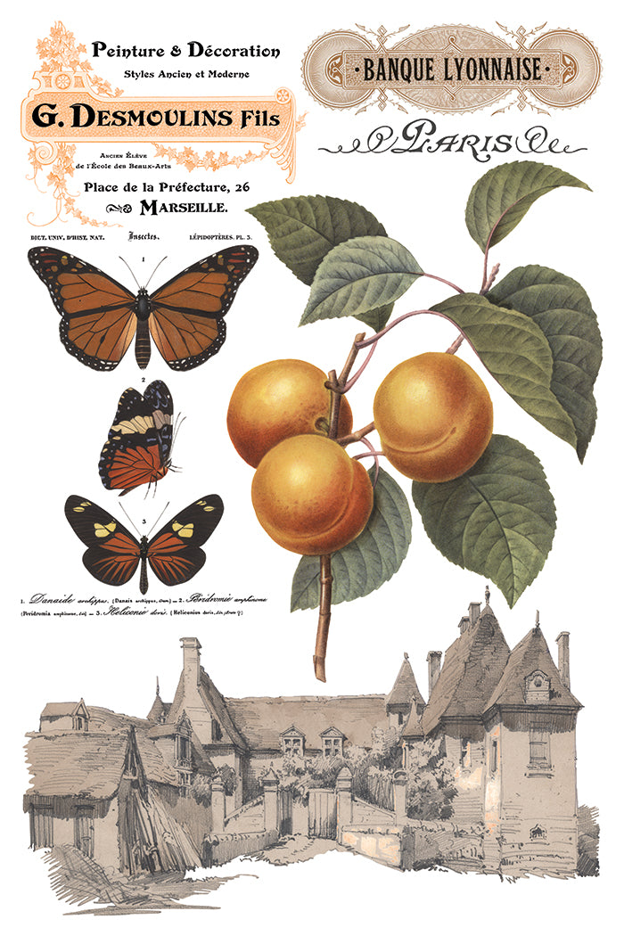 Saint Ouen Transfer collage by IOD featuring French text, butterflies, apricots, and vintage buildings.