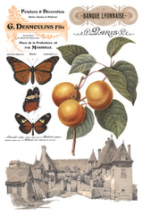 Saint Ouen Transfer collage by IOD featuring French text, butterflies, apricots, and vintage buildings.