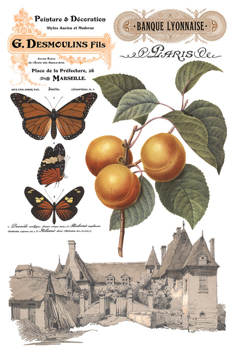 Saint Ouen Transfer collage by IOD featuring French text, butterflies, apricots, and vintage buildings.