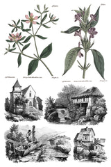 Saint Ouen Transfer by I.O.D.: two botanical designs featured above four classic sketches.