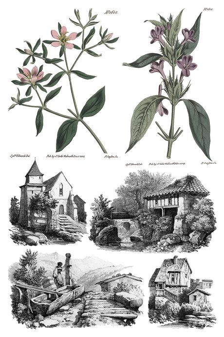 Saint Ouen Transfer by I.O.D.: two botanical designs featured above four classic sketches.