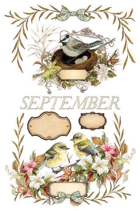 Birds in nests, flowers, and “Santa’s Hollow Transfer (2025 Limited Release)” by I.O.D. with large text.