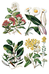 Set of four green foliage prints detailed with I.O.D. Sarah Featon’s Botanicals Transfer by Iron Orchid Designs.