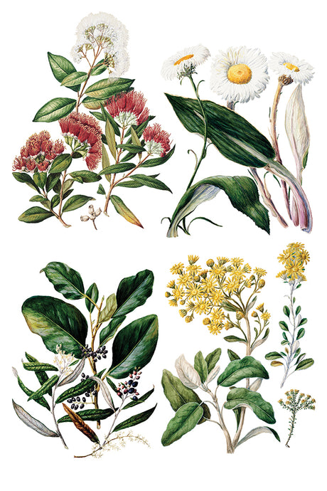 Set of four green foliage prints detailed with I.O.D. Sarah Featon’s Botanicals Transfer by Iron Orchid Designs.