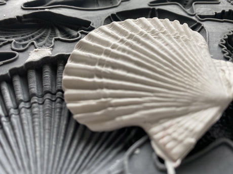 White seashell on a black Sea Shells Mould by IOD, patterns visible in the background.