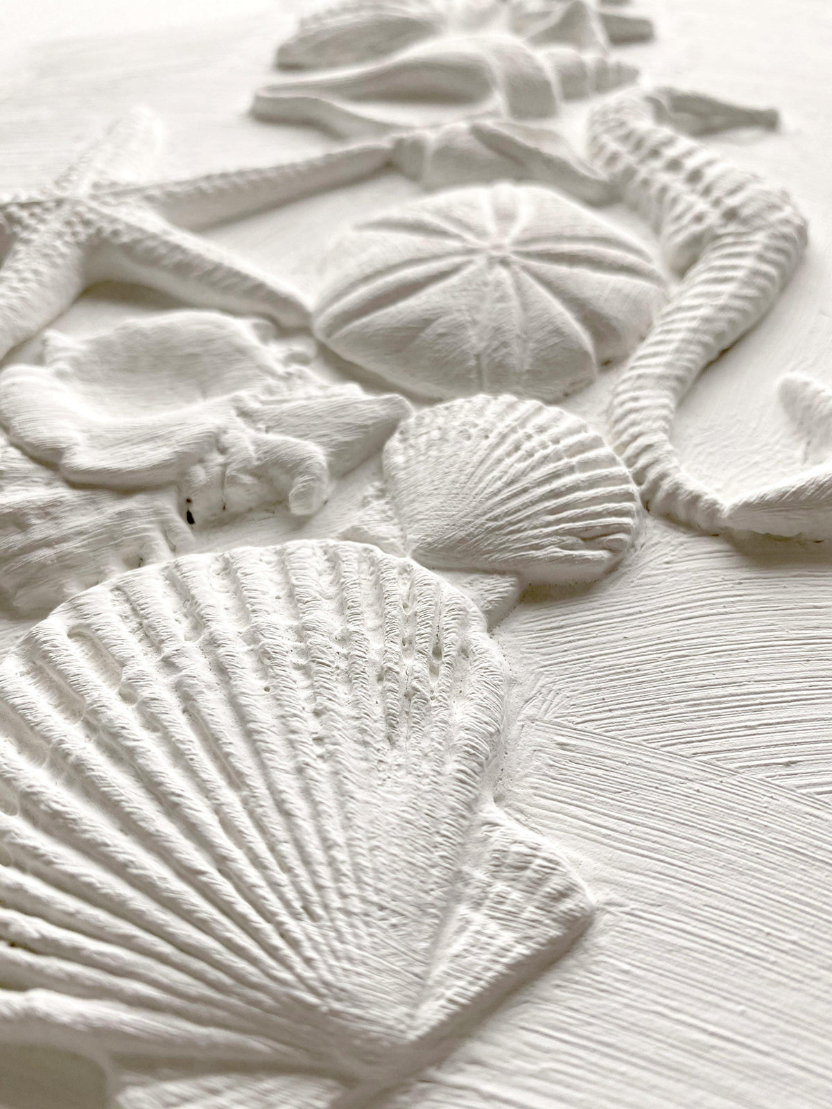 Sea Shells Mould by IOD featuring embossed shells, starfish, and sand dollars on a white background.
