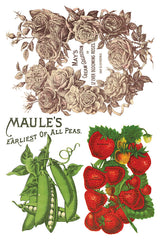 I.O.D. Seed Catalogue Transfer by Iron Orchid Designs featuring vintage rose, pea, and strawberry illustrations.