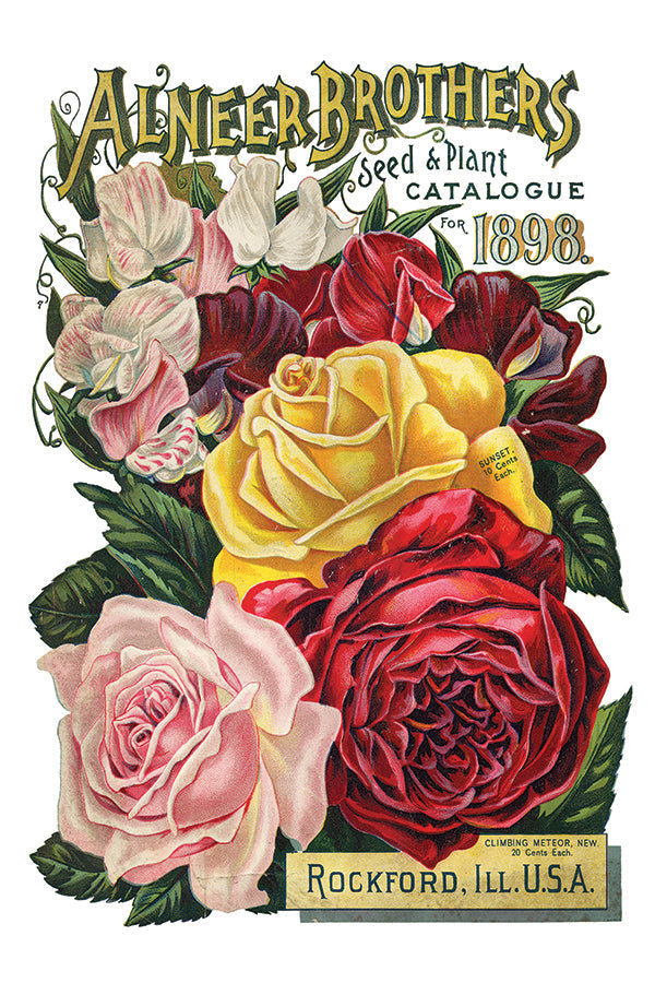 IOD Seed Catalogue Transfer by Iron Orchid Designs, for decor or crafts, Rockford, Illinois edition.