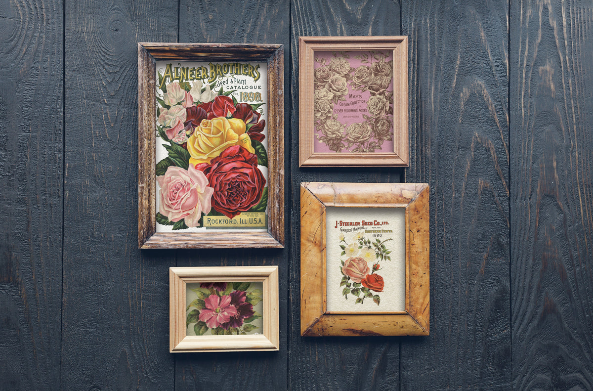 Set of four framed floral prints featuring I.O.D. Seed Catalogue Transfer designs by Iron Orchid Designs.