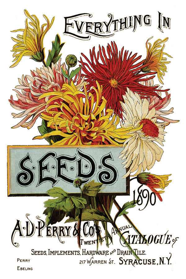 I.O.D. Seed Catalogue Transfer by Iron Orchid Designs, featuring colorful floral rub-on decor.