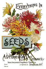 I.O.D. Seed Catalogue Transfer by Iron Orchid Designs, featuring colorful floral rub-on decor.