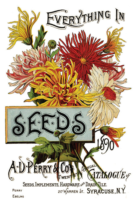 I.O.D. Seed Catalogue Transfer by Iron Orchid Designs, featuring colorful floral rub-on decor.