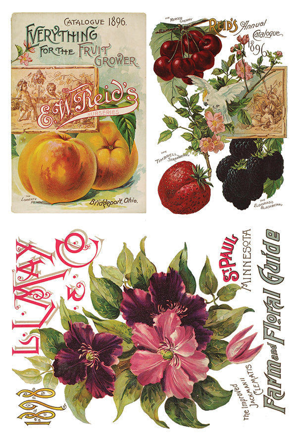 Three vintage seed catalog covers for DIY or I.O.D. Seed Catalogue Transfer by Iron Orchid Designs.