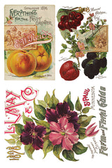 Three vintage seed catalog covers for DIY or I.O.D. Seed Catalogue Transfer by Iron Orchid Designs.