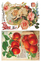 Vintage 1904 seed cover, suitable for DIY or pairing with Seed Catalogue Transfer by IOD.