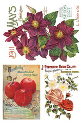 IOD Seed Catalogue Transfer with vintage-style floral rub-on designs by Iron Orchid Designs.