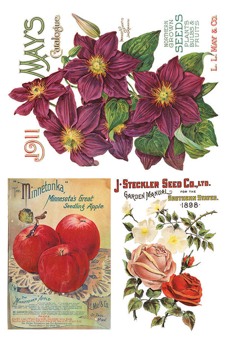 IOD Seed Catalogue Transfer with vintage-style floral rub-on designs by Iron Orchid Designs.