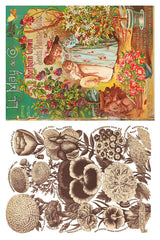 Seed Catalogue Transfer by I.O.D., suitable for DIY decor or use as a floral rub-on transfer.