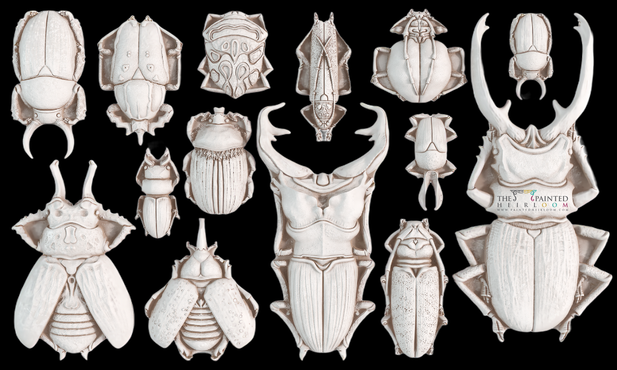 Specimens Mould by I.O.D. with 15 beetle and insect designs arranged in rows on a black background.