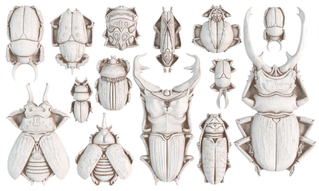 Specimens Mould by IOD showing fifteen beetle exoskeletons arranged in three rows for crafts.