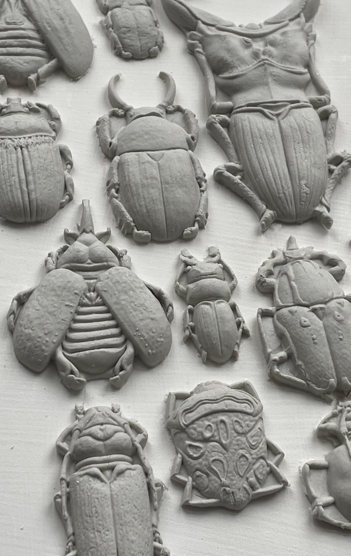 Gray clay beetle decor crafted with I.O.D. Specimens Mould, featuring distinct forms and intricate textures.