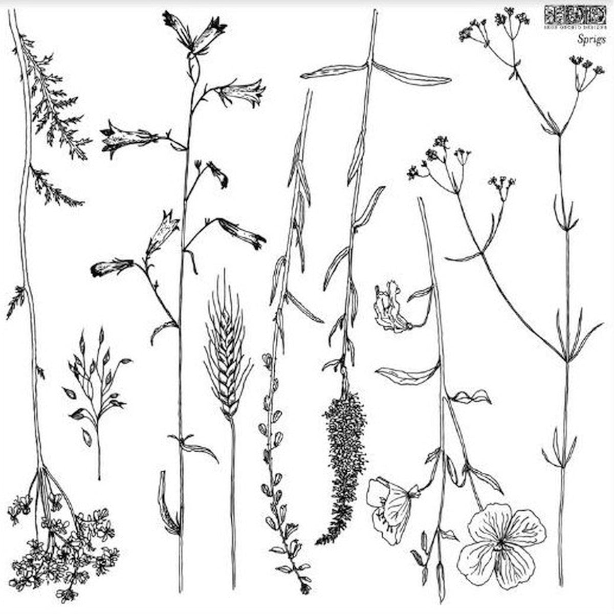 Sprigs Stamp by I.O.D., black-and-white wildflower design, for stamping or scrapbooking.