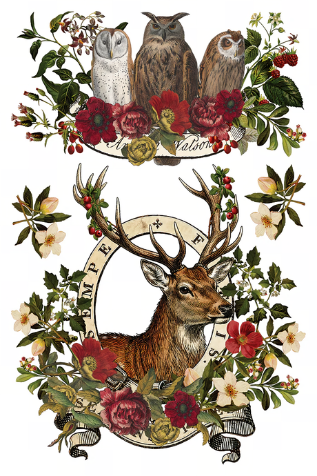 Stag Tavern IOD 2026 transfer featuring three owls and stag head with florals.
