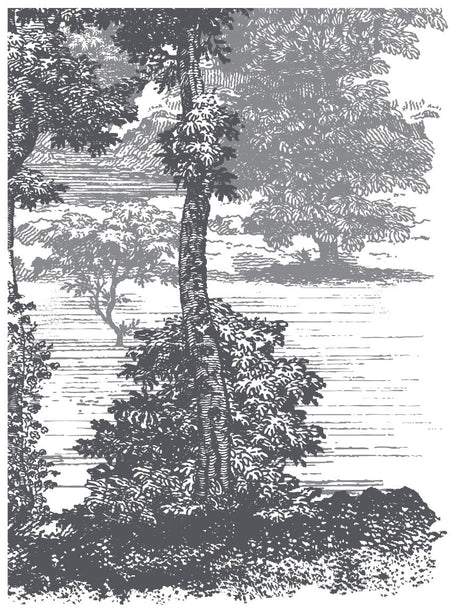 Black and white trees beside water, inspired by Summer Villa Paint Inlay by I.O.D.
