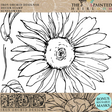Black & white line art of sunflowers with IOD Sunflowers Stamp by I.O.D. logos and reusable stamping masks included.
