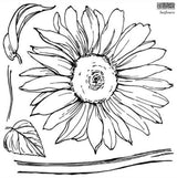 Black and white sunflower line art with two leaves and stem, created using IOD Iron Orchid Designs Sunflowers Stamp.