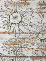 Sunflower line art created with IOD Sunflowers Stamp on distressed white wood background.
