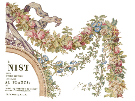 The Botanist Transfer by IOD, retired design; pink, blue, and white floral garland with green leaves.