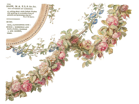 The Botanist Transfer by I.O.D. with pink and white roses and green leaves.