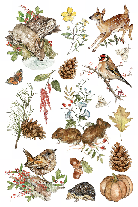 Woodland animals and botanical wreaths motif from The Bramblewood Diaries (2026) I.O.D. Transfer.