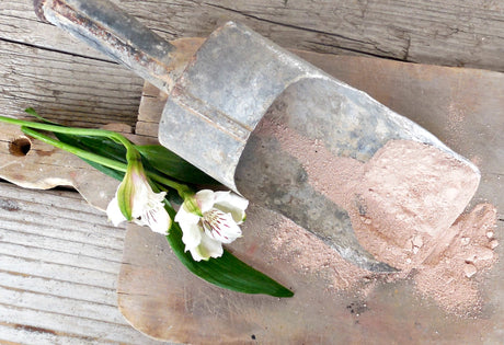 Metal scoop with Tickled Pink milk paint by Old Fashioned Milk Paint and two white flowers on wood.