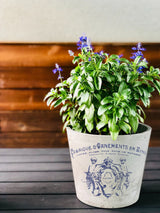 Traditional Pots Decor Transfer by IOD displayed on a dark table with a wooden wall in the background.