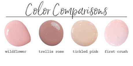 Wildflower, Trellis Rose, Tickled Pink, and First Crush Old Fashioned Milk Paint swatches displayed on white.