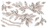 Intricately detailed leaves and branches, inspired by Viridis Mould by I.O.D., on a white background.