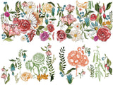 Watercolor botanical design for I.O.D. Wander Decor Transfer by Iron Orchid Designs for furniture projects.