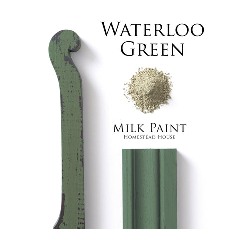 Waterloo Green Milk Paint by Homestead House, powder form, for green wood trim, rich color.